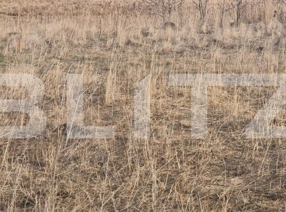 Teren de vânzare Sanpetru - 150299TV | BLITZ Brașov | Poza6