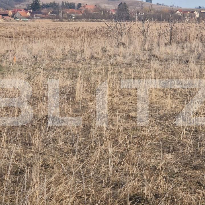 Teren de vânzare Sanpetru - 150299TV | BLITZ Brașov | Poza6