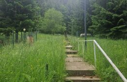 CASĂ cu semineu ,6 camere , ȘIRNEA 1000 mp teren, zona linistita .