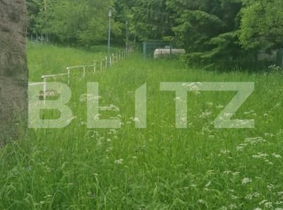 Casa de vânzare 6 camere Fundata - 150304CV | BLITZ Brașov | Poza5