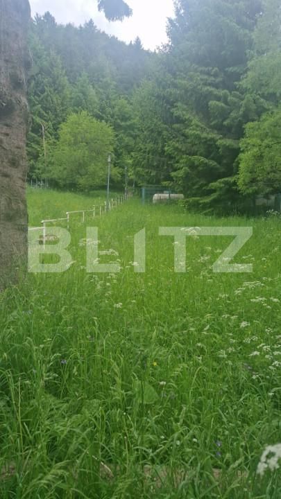 Casa de vânzare 6 camere Fundata - 150304CV | BLITZ Brașov | Poza5