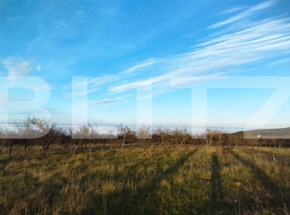 Teren de vânzare Feleacu - 150311TV | BLITZ Cluj-Napoca | Poza3