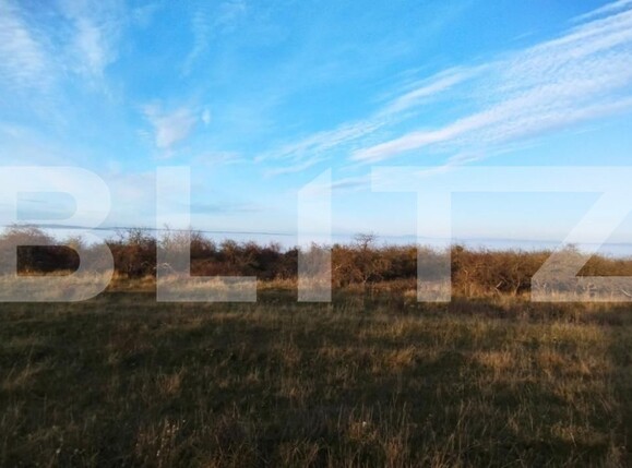 Teren de vânzare Feleacu - 150311TV | BLITZ Cluj-Napoca | Poza2