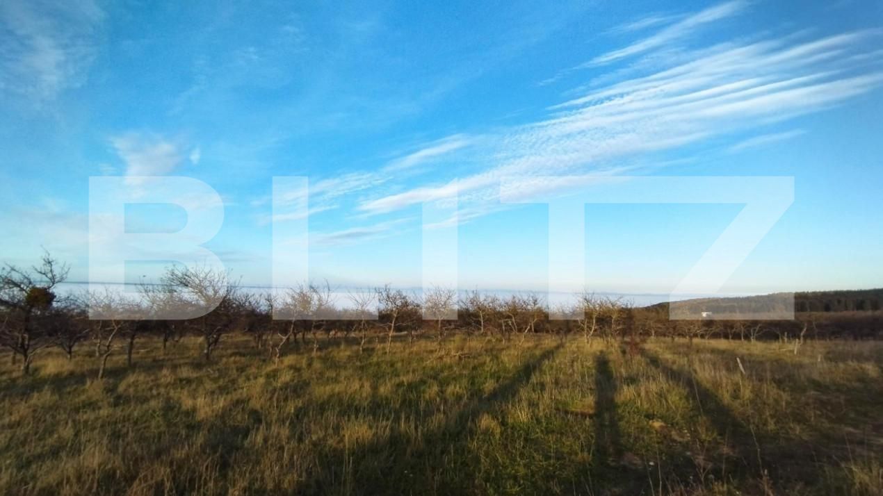 Teren de vânzare Feleacu - 150311TV | BLITZ Cluj-Napoca | Poza3