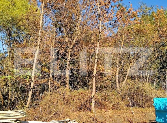 Casa de vânzare 4 camere Câmpeneşti - 150315CV | BLITZ Cluj-Napoca | Poza7