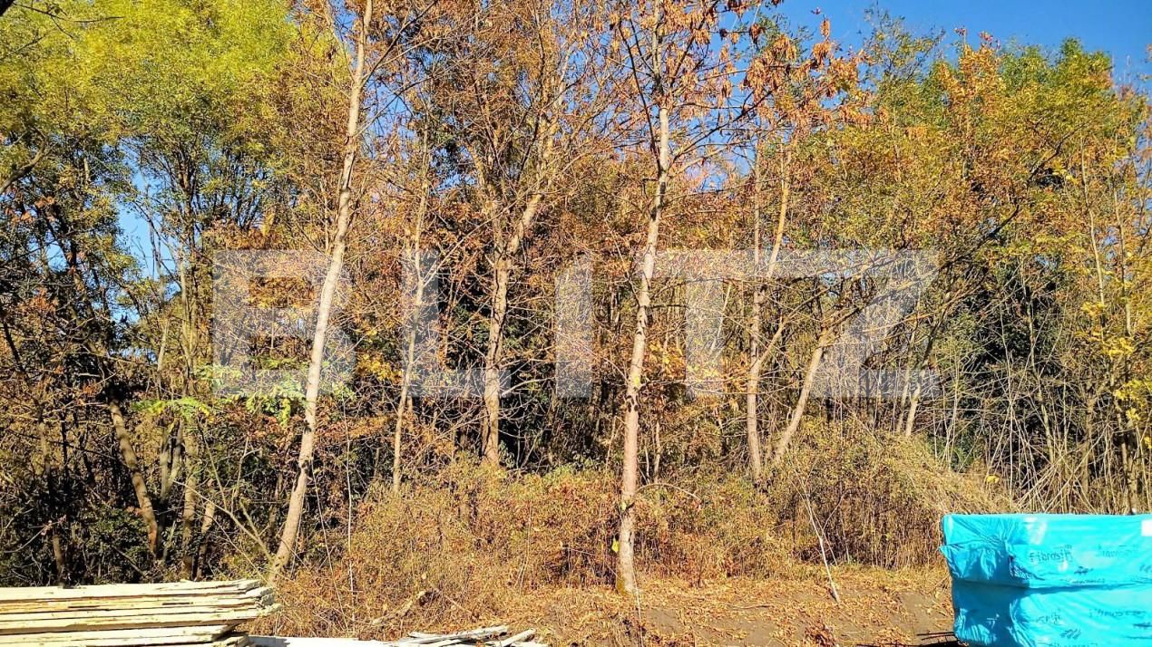 Casa de vânzare 4 camere Câmpeneşti - 150315CV | BLITZ Cluj-Napoca | Poza7