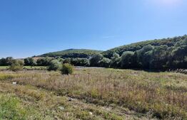 Teren intravilan de 1850 mp in Feleacu, zona agrement!