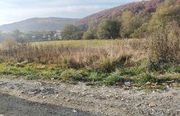 Teren intravilan de 1850 mp in Feleacu, zona agrement!