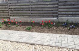 Casa 4 camere și garaj, 120mp utili ,zona Bod  toate utilitatiile.