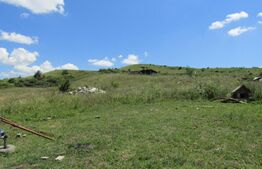 Teren 3500 mp, front 34 ml utilitati la front, zona linistita nou dezvoltata