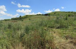 Teren 3500 mp, front 34 ml utilitati la front, zona linistita nou dezvoltata