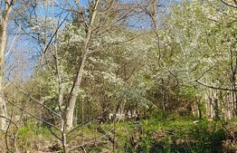 Casă 2 camere în centrul stațiunii RÂȘNOV