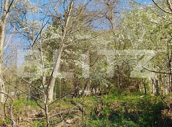 Casa de vânzare 2 camere Rasnov - 150335CV | BLITZ Brașov | Poza7