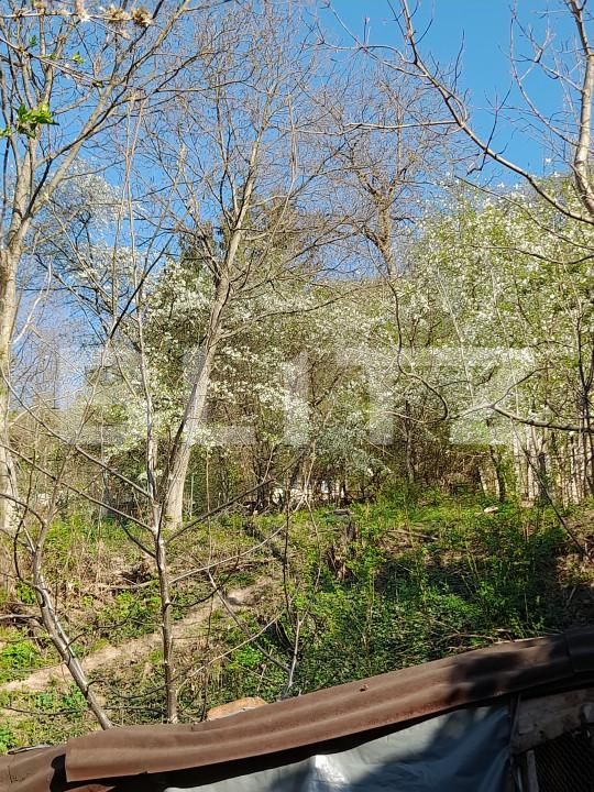 Casa de vânzare 2 camere Rasnov - 150335CV | BLITZ Brașov | Poza7