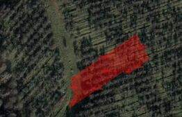 Teren intravilan, 2900 mp, Feleacu