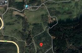 Teren intravilan, 2900 mp, Feleacu