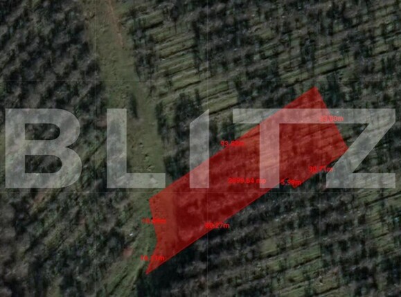 Teren de vânzare Feleacu - 150339TV | BLITZ Cluj-Napoca | Poza2