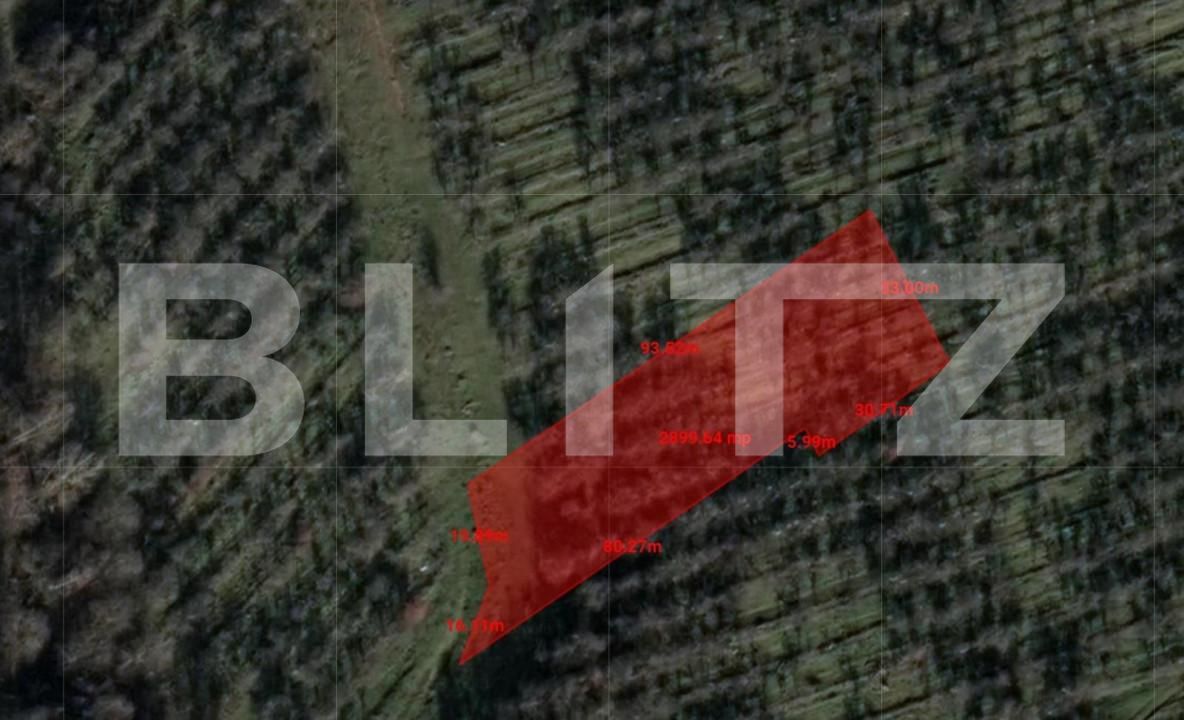 Teren de vânzare Feleacu - 150339TV | BLITZ Cluj-Napoca | Poza2