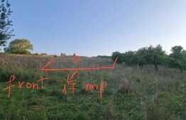 Teren, 11.600 mp, Campenesti