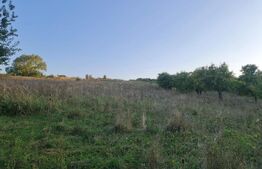 Teren, 11.600 mp, Campenesti