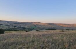 Teren, 11.600 mp, Campenesti