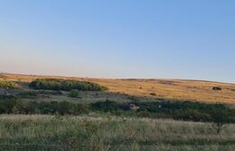 Teren, 11.600 mp, Campenesti