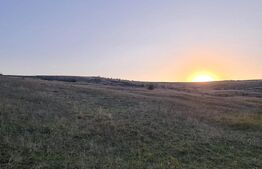 Teren, 11.600 mp, Campenesti