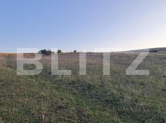 Teren de vânzare Câmpeneşti - 150353TV | BLITZ Cluj-Napoca | Poza5