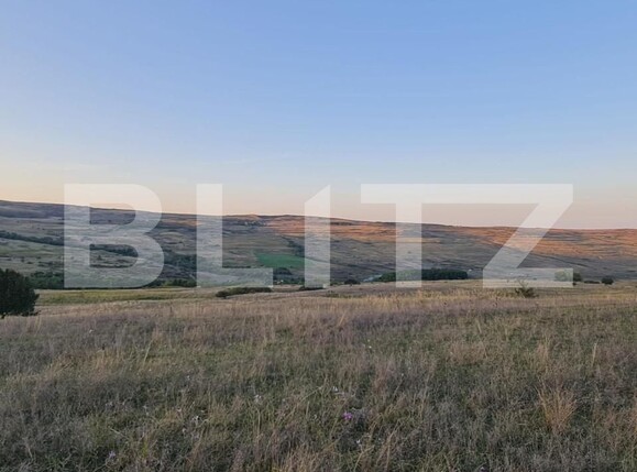 Teren de vânzare Câmpeneşti - 150353TV | BLITZ Cluj-Napoca | Poza6