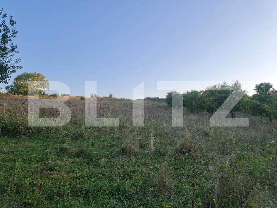 Teren de vânzare Câmpeneşti - 150353TV | BLITZ Cluj-Napoca | Poza8