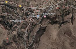 Tere, 8500 mp, iesire la lac, Suceagu