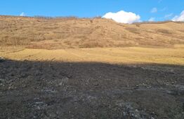 Teren intravilan, 3800 mp, satul Visea