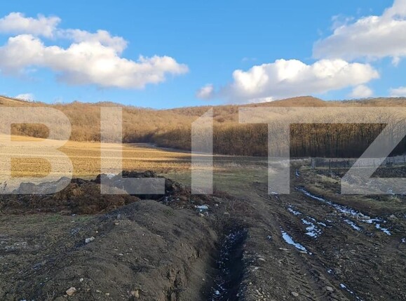 Teren de vânzare Jucu - 150357TV | BLITZ Cluj-Napoca | Poza4