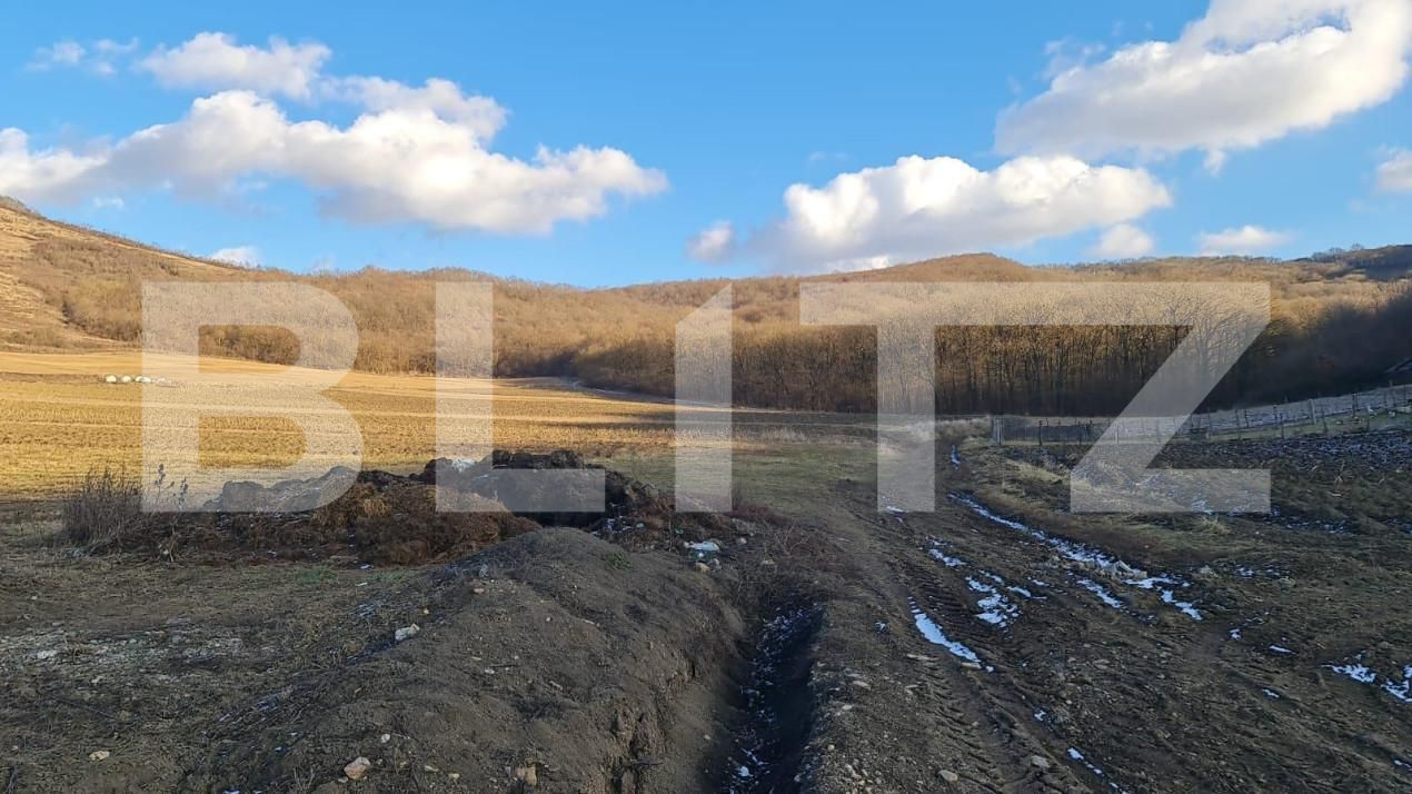 Teren de vânzare Jucu - 150357TV | BLITZ Cluj-Napoca | Poza4