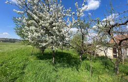 Casa individuala 3 camere, 141mp, teren 2363 mp, Turda 