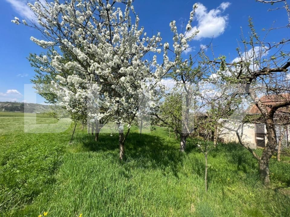 Casa de vânzare 3 camere  - 150361CV | BLITZ Cluj-Napoca | Poza4