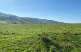 Teren extravilan in Popesti, 5800 mp, zona de case