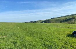 Teren extravilan in Popesti, 5800 mp, zona de case