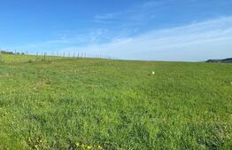 Teren extravilan in Popesti, 5800 mp, zona de case