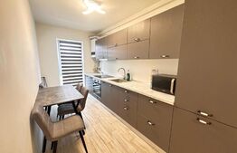 Apartament de 2 camere, 48 mp, garaj, zona Corneliu Coposu