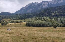 Teren intravilan cu priveliste superba, 3103 mp, PUZ, Plaiul Foii Zarnesti