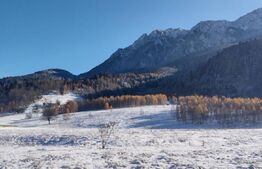 Teren intravilan cu priveliste superba, 3103 mp, PUZ, Plaiul Foii Zarnesti