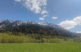 Teren intravilan cu priveliste superba, 3103 mp, PUZ, Plaiul Foii Zarnesti