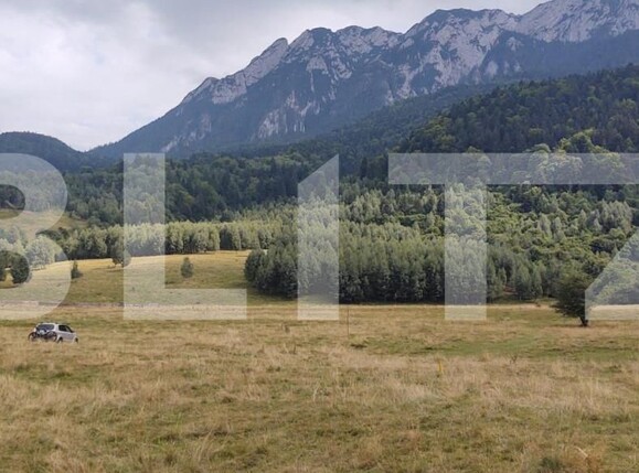 Teren de vânzare Zarnesti - 150373TV | BLITZ Brașov | Poza1