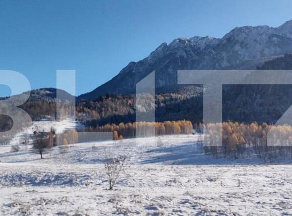 Teren de vânzare Zarnesti - 150373TV | BLITZ Brașov | Poza6