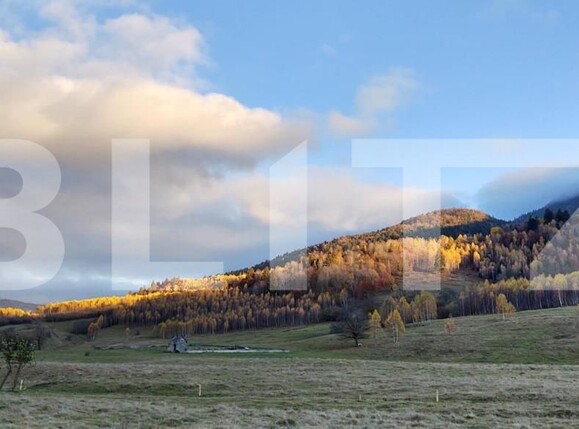 Teren de vânzare Zarnesti - 150373TV | BLITZ Brașov | Poza2