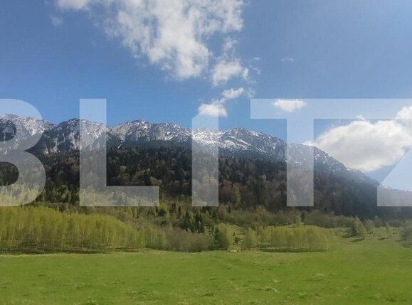 Teren de vânzare Zarnesti - 150373TV | BLITZ Brașov | Poza3