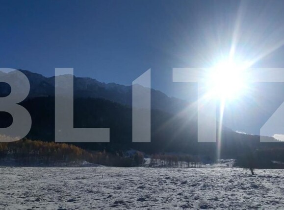 Teren de vânzare Zarnesti - 150373TV | BLITZ Brașov | Poza5