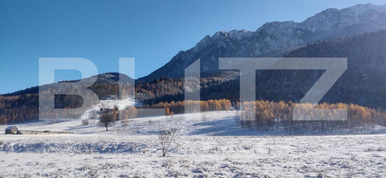 Teren de vânzare Zarnesti - 150373TV | BLITZ Brașov | Poza6