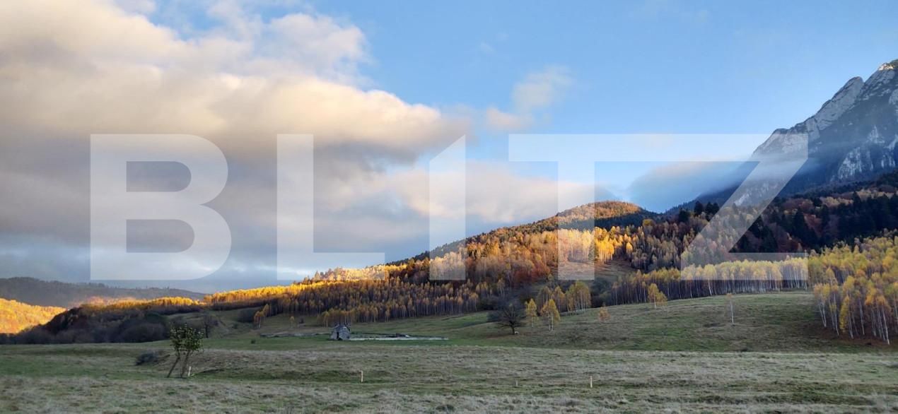 Teren de vânzare Zarnesti - 150373TV | BLITZ Brașov | Poza2